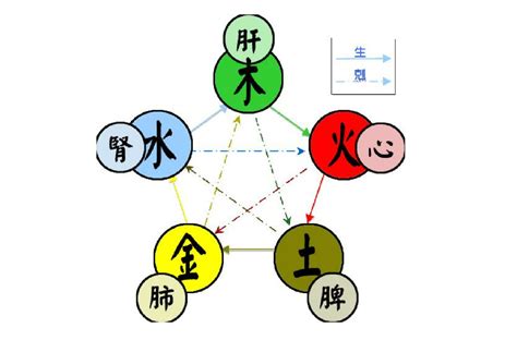 緯五行|五行(對萬事萬物的取象比類):簡介介紹,涵義解析,初始含義,對應關。